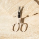 BrowScissors3_5000x_png_e088cf60-7a43-4d89-ba60-0e48ceb9d49a