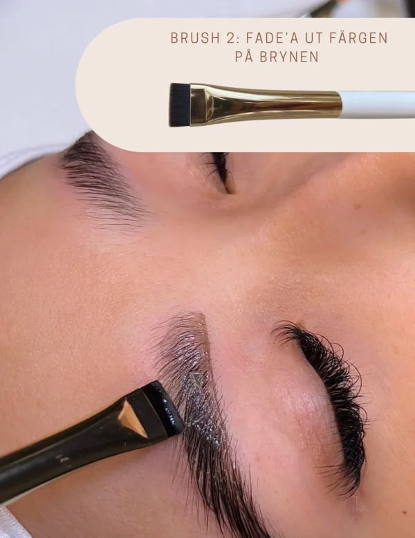 Masterbrush2_1200x_png3
